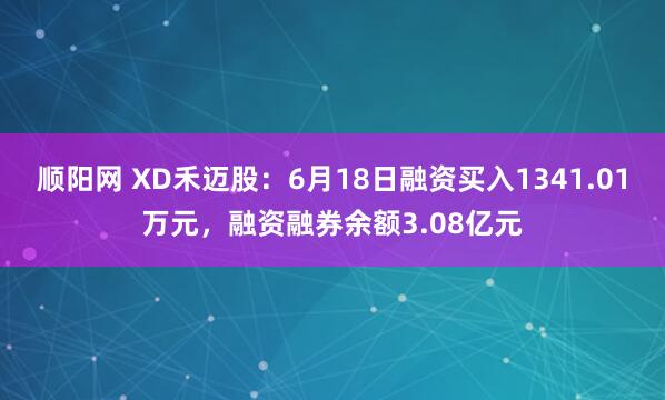 顺阳网 XD禾迈股：6月18日融资买入1341.01万元，融资融券余额3.08亿元