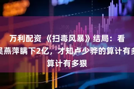 万利配资 《扫毒风暴》结局：看懂吴燕萍瞒下2亿，才知卢少骅的算计有多狠