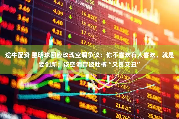 途牛配资 董明珠回应玫瑰空调争议：你不喜欢有人喜欢，就是要创新；该空调曾被吐槽“又贵又丑”