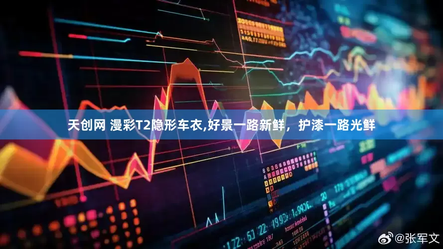 天创网 漫彩T2隐形车衣,好景一路新鲜，护漆一路光鲜