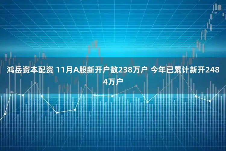 鸿岳资本配资 11月A股新开户数238万户 今年已累计新开2484万户