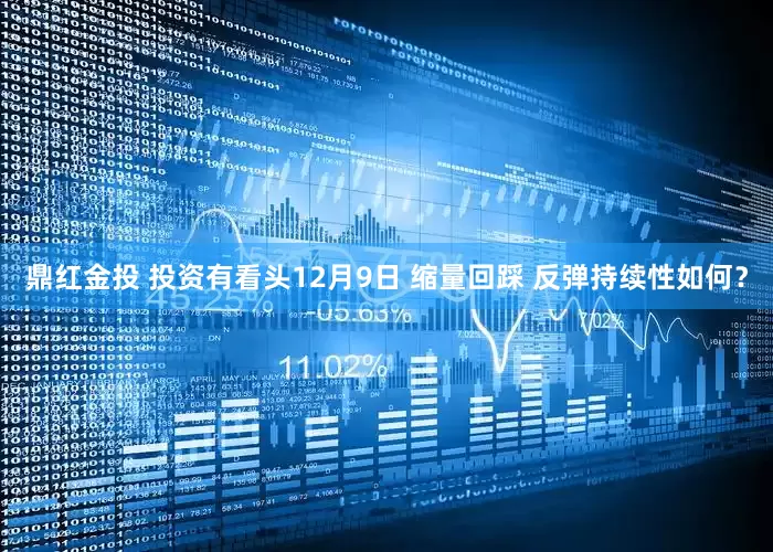 鼎红金投 投资有看头12月9日 缩量回踩 反弹持续性如何？